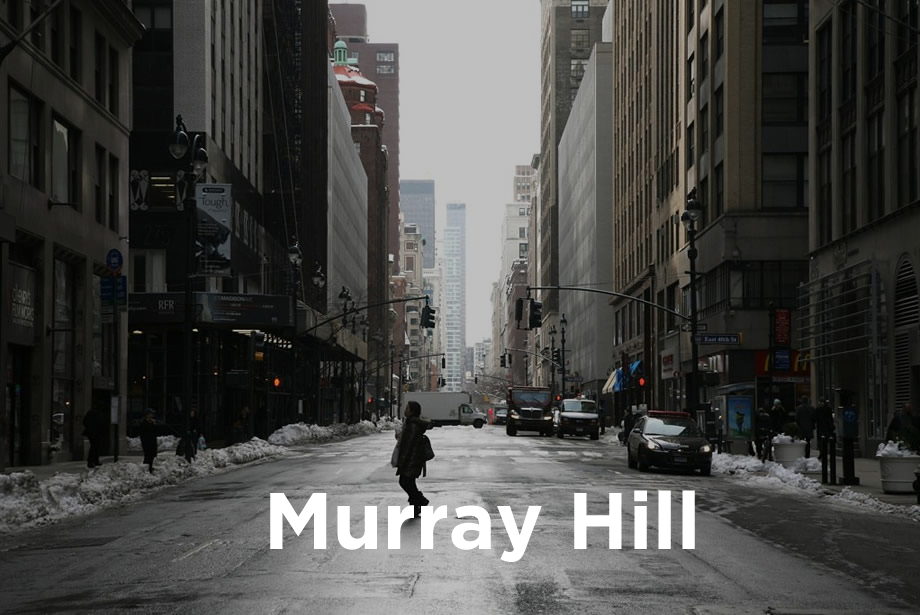 Murray Hill Luxury Apartments for Rent